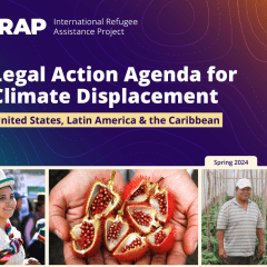 A screenshot of the cover of the Legal Action Agenda