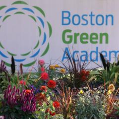 The Boston Green Academy logo is on a white wall behind beautiful plants.
