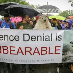 Why I'm taking to streets to march on behalf of science