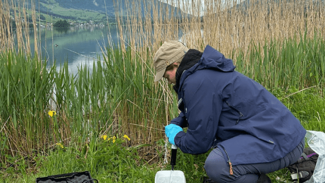 Kristy crouches in the grass next to a lake in the mountains. She is using a eDNA monitoring kit, pumping water out of a white bucket through a black pipe, with other sampling materials in bags and containers on the grass nearby.