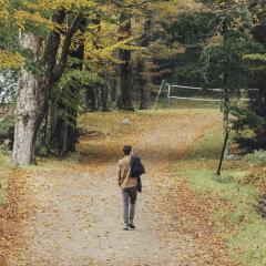 A person walks away down a forested path