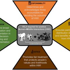 Governing principles to promote positive outcomes from human–wildlife interactions (HWIs). Carnivore illustrations by V Zakrzewski.