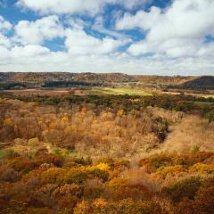 A hilly grassland landscape in autumn with blue sky and clouds