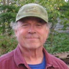 Neil Fennessey