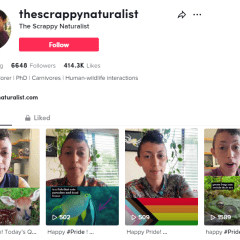 A screenshot of Christine Wilkinson's TikTok page: @thescrappynaturalist