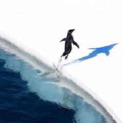 International leadership, a global community, and renewed hope: Protecting the Ross Sea, Antarctica