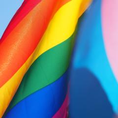 A closeup of a rainbow, light blue and pink striped flag waving in the wind, backlit by sunlight