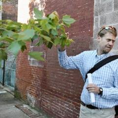 J. Morgan Grove: Parks and Tree Cover in Baltimore