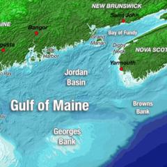 Science in the Rapidly Warming Gulf of Maine