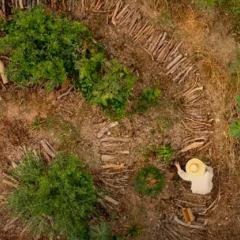 Community members working the land at El Huerto. (Image still from documentary by Luis Enrique González Lozano)