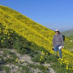 Conserving southern California biodiversity