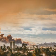 A photo of the Eaton Fire as seen from Koreatown, Los Angeles. Palm trees and a city skyline are in the foreground, with a lot of dark smoke rising from the city and the hills in the background.
