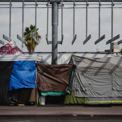 A homeless encampment is made up of tarps and tents set up neatly under a metal structure with hanging bars. Open sky with clouds, a couple buildings and a palm tree are in the background. 