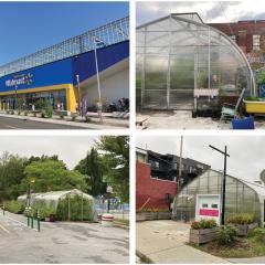 Four Montreal greenhouses. The first greenhouse is on top of a Walmart. The second greenhouse is behind a brick building. The third greenhouse has open ends, is full of tall green plants, and situated on a road next to a bike lane. The fourth has a white door with a pink sign on it. It is situated next to an apartment building with street signs in the foreground.
