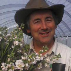 Malcolm McEwen in the hoop house with flowers