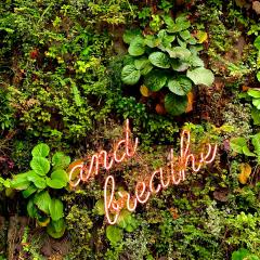 a neon sign that reads "and breathe" in cursive is on a leafy green wall