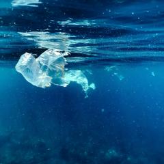 A plastic bag disintegrates in vibrantly blue water. Tiny particles of plastic are floating in the water around the bag.