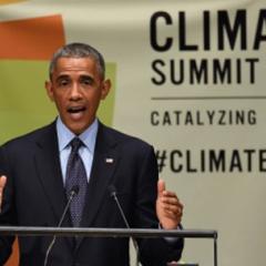 Public Ire and Impatience With Washington Climate Gridlock Underlie Massive Climate Demonstrations