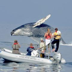 Photo: NOAA