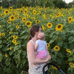 Cora stands holding her daughter, looking away from the camera into field of sunflowers.