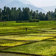 What Foods Are Better for the Earth?