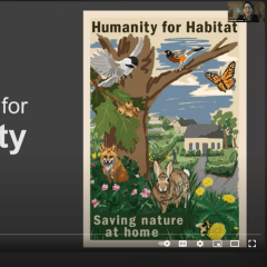 Screenshot shows a slide with a dark grey background and text reading “Yards as habitat for Biodiversity. 1. Birds and People. 2. Food webs. 3. Bees and Lawns. 4. Birds and Designs.” On the right side there is an illustrated poster showing birds, butterflies, bees, a fox, a rabbit, flowers and trees in front of a house with a silhouette of a person watering plants in the yard and blue sky. Text on the poster reads “Humanity for Habitat, Saving nature at home.” 