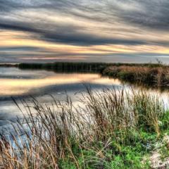 Working to Reveal Promise: Innovation Grant helps connect new dots between wetland protection and management