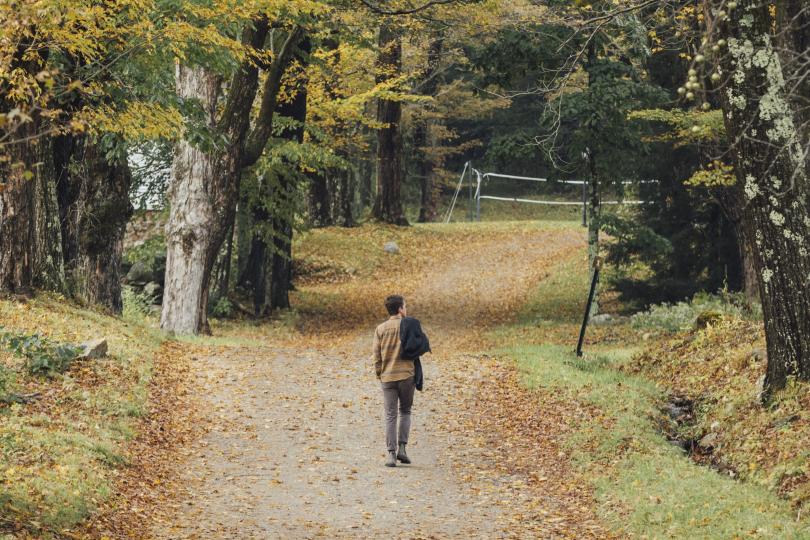 A person walks away down a forested path