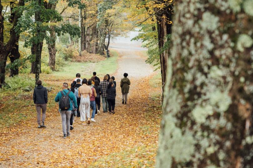 A line of people walk through a forest with autumn foliage.