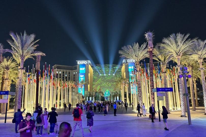 People walking around in a neon-lit outdoor walkway with palm trees at COP28