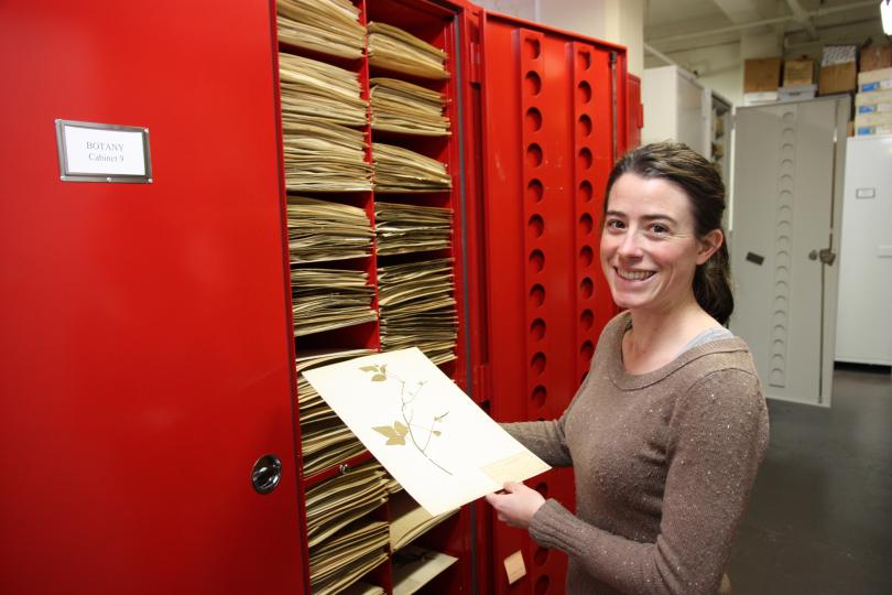 Erika Krimmel stands in front of a large red cabinet with a label that reads "BOTANY". She is smiling at the camera and holding a preserved botanical specimen: a pressed plant on a white paper.