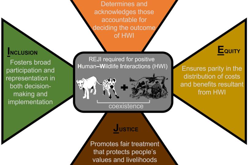 Governing principles to promote positive outcomes from human–wildlife interactions (HWIs). Carnivore illustrations by V Zakrzewski.