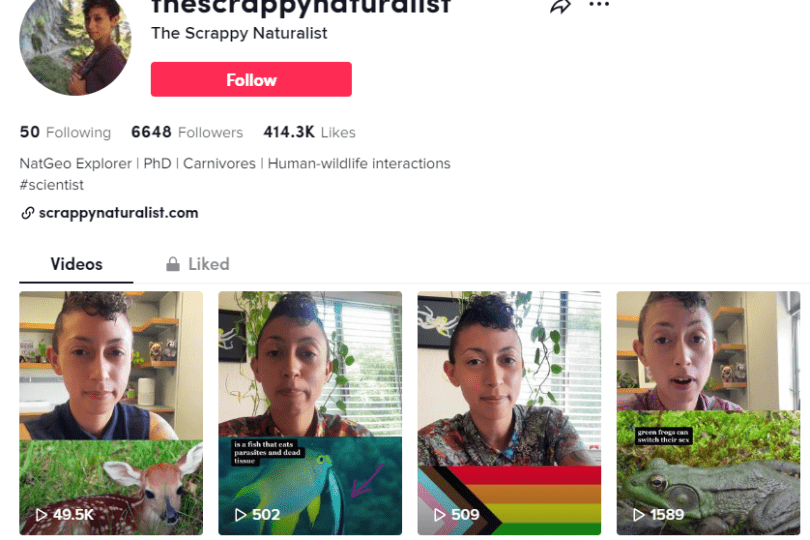 A screenshot of Christine Wilkinson's TikTok page: @thescrappynaturalist