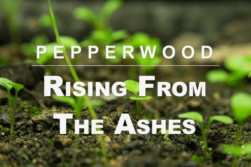 "Pepperwood: Rising from the Ashes" against a backdrop of small green plants sprouting out of brown earth.