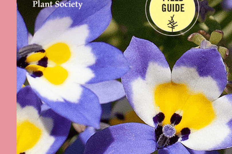 Wildflowers of California field guide cover