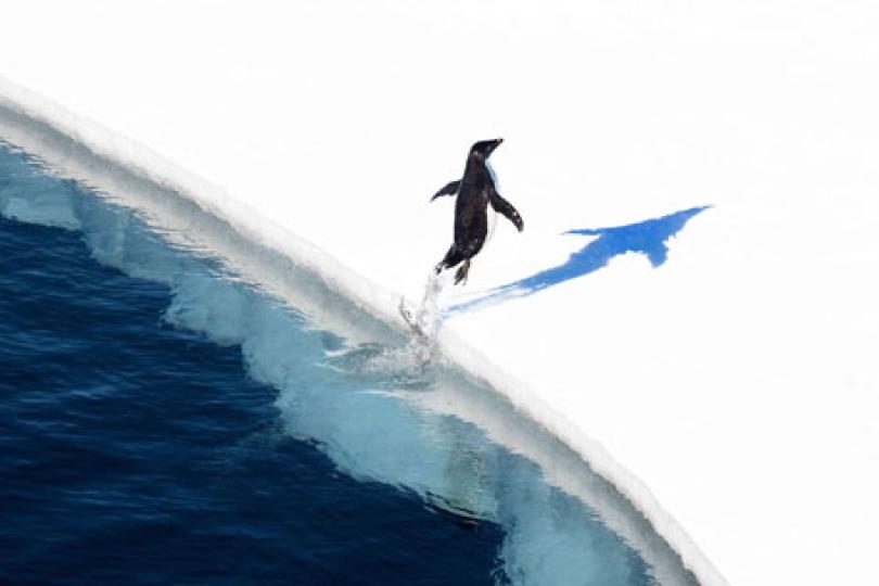 International leadership, a global community, and renewed hope: Protecting the Ross Sea, Antarctica