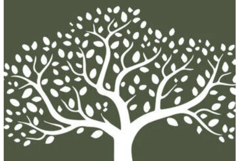 the book cover for Considering Climate Change shows a white symbol of a tree.