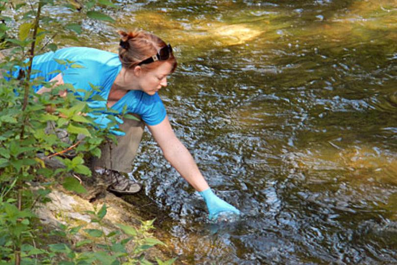 Kristy Deiner: CSI for Biodiversity