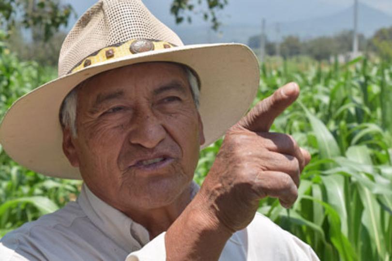 Alexander Eaton: Mexican farmers are turning cow pies into proverbial gold