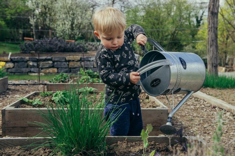 A toddler uses a watering can on a raised garden bed