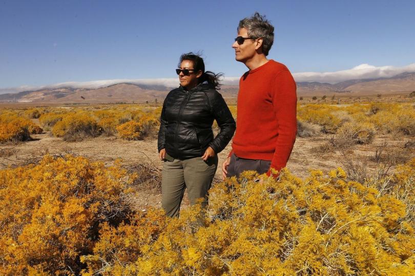 Two Switzer Fellows stand in a field of yellow plants with mountains and blue sky in the background