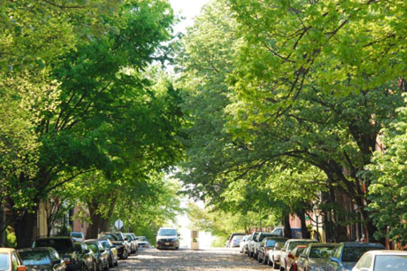 Greening cities makes for safer neighborhoods
