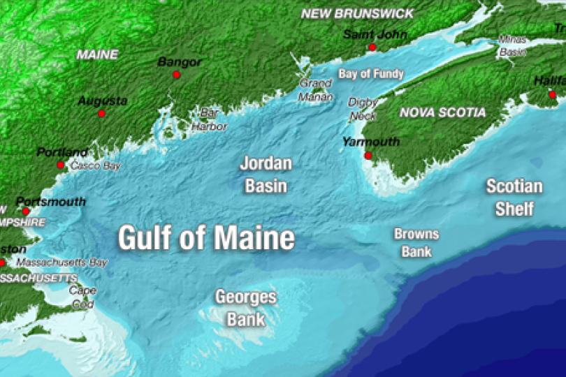 Science in the Rapidly Warming Gulf of Maine