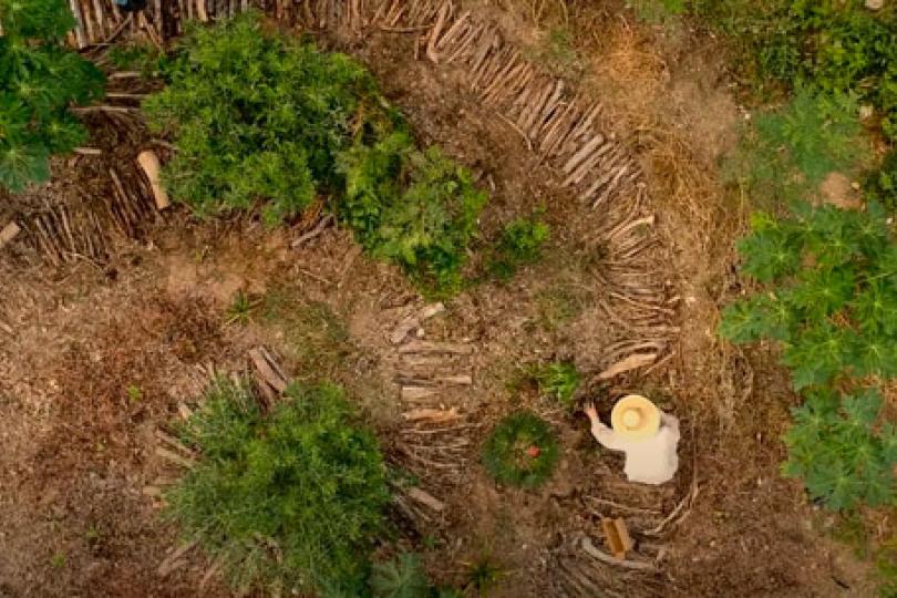 Community members working the land at El Huerto. (Image still from documentary by Luis Enrique González Lozano)