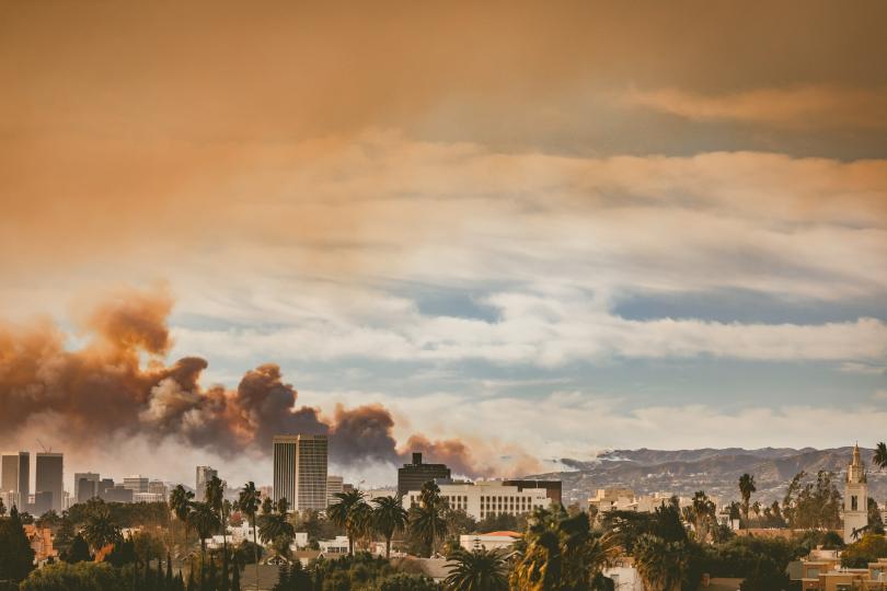 A photo of the Eaton Fire as seen from Koreatown, Los Angeles. Palm trees and a city skyline are in the foreground, with a lot of dark smoke rising from the city and the hills in the background.