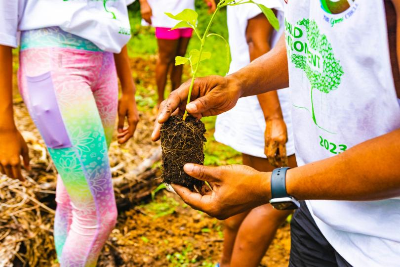 A close up of people at a tree-planting event, hands hold a seedling with people in the background wearing bright colors. 