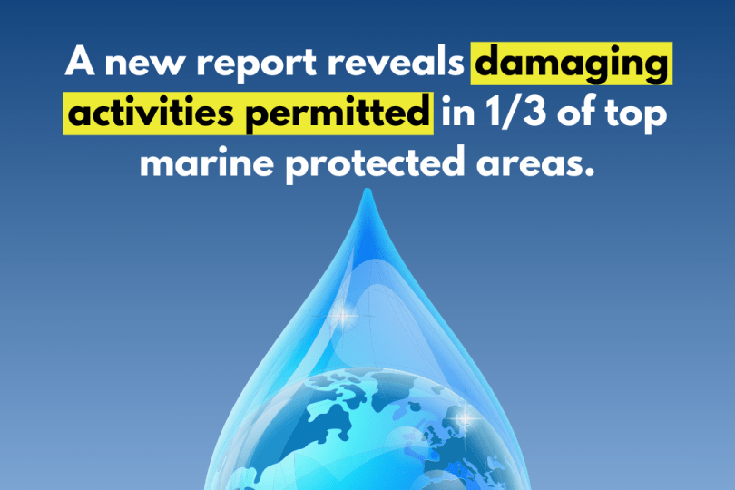 A graphic shows a water droplet superimposed over planet Earth, with 2.6% highlighted in darker blue to indicate the percentage of sufficiently protected MPAs. White and yellow text reads “A new report reveals damaging activities permitted in ⅓ of top marine protected areas.” with the logos of the MPA Guide, Marine Protection Atlas and Marine Conservation Institute against a blue gradient background. 