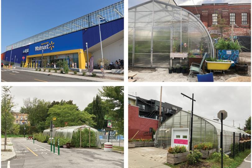 Four Montreal greenhouses. The first greenhouse is on top of a Walmart. The second greenhouse is behind a brick building. The third greenhouse has open ends, is full of tall green plants, and situated on a road next to a bike lane. The fourth has a white door with a pink sign on it. It is situated next to an apartment building with street signs in the foreground.