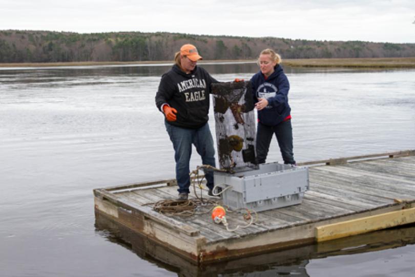 Developing an applied fisheries program in the Gulf of Maine
