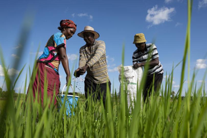 A life-changing fertilizer for rural farmers in Kenya